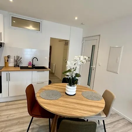 Apartment Le Cocon Plain Pied Avec Parking